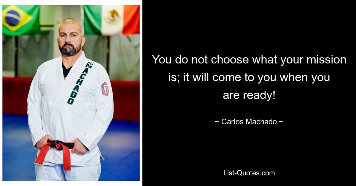 You do not choose what your mission is; it will come to you when you are ready! — © Carlos Machado