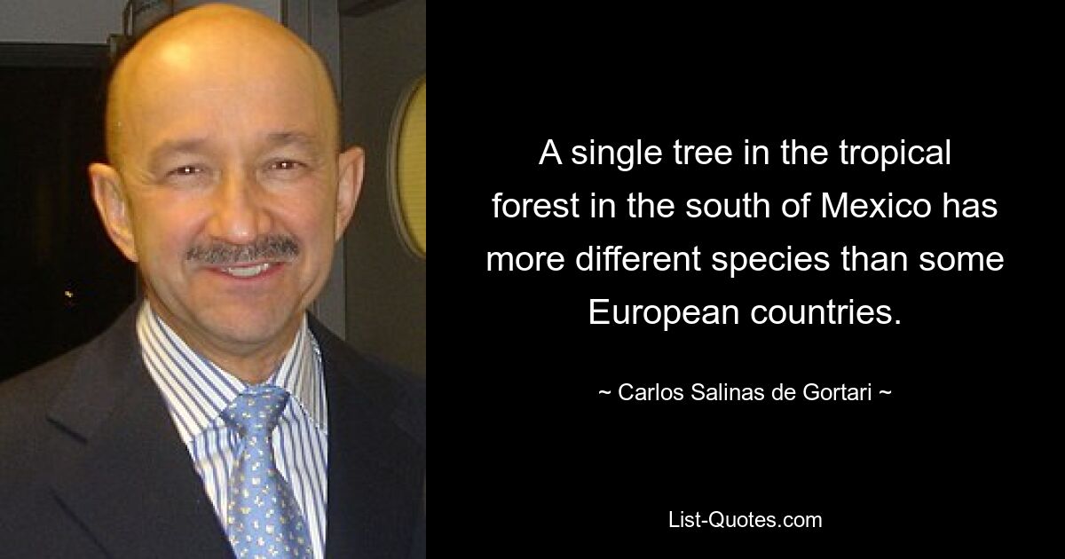 A single tree in the tropical forest in the south of Mexico has more different species than some European countries. — © Carlos Salinas de Gortari