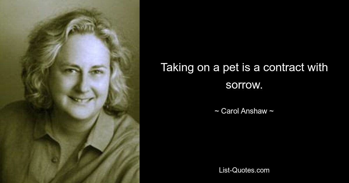 Taking on a pet is a contract with sorrow. — © Carol Anshaw