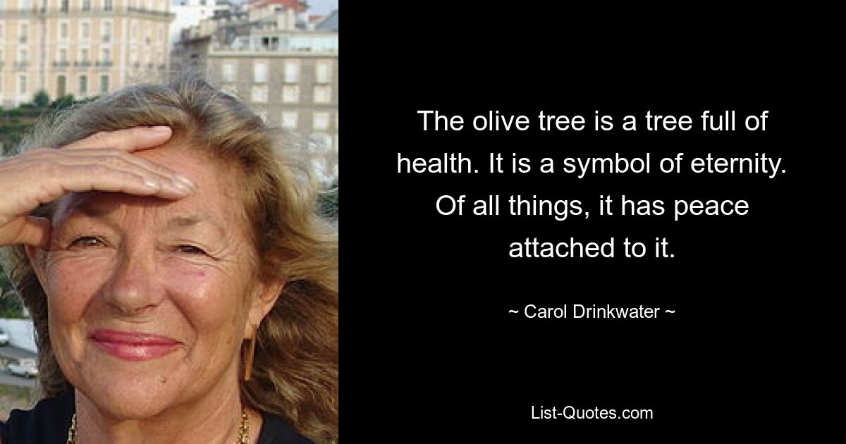 The olive tree is a tree full of health. It is a symbol of eternity. Of all things, it has peace attached to it. — © Carol Drinkwater