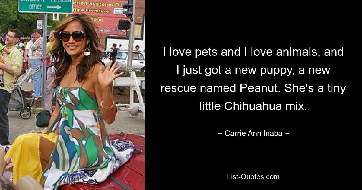 I love pets and I love animals, and I just got a new puppy, a new rescue named Peanut. She's a tiny little Chihuahua mix. — © Carrie Ann Inaba