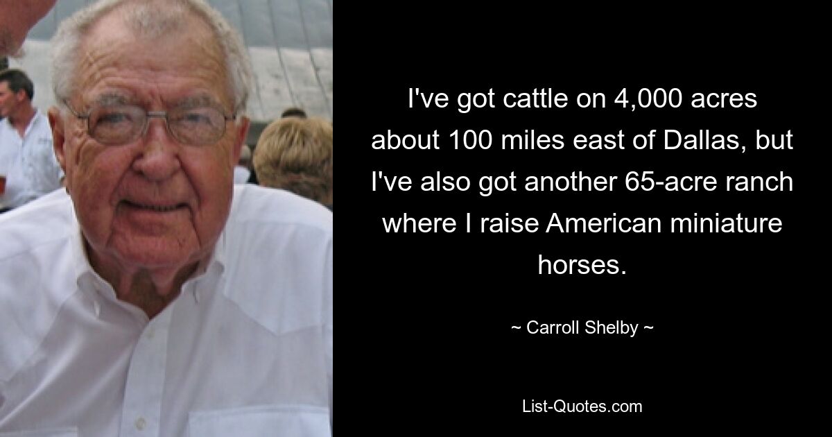 I've got cattle on 4,000 acres about 100 miles east of Dallas, but I've also got another 65-acre ranch where I raise American miniature horses. — © Carroll Shelby