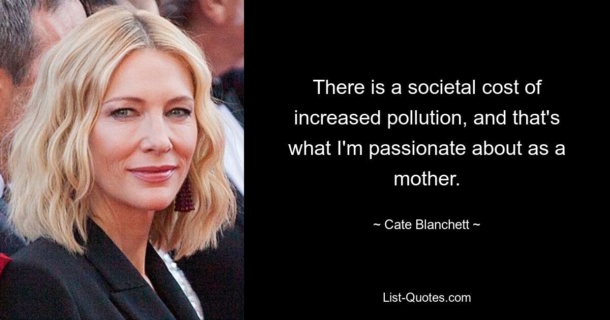 There is a societal cost of increased pollution, and that's what I'm passionate about as a mother. — © Cate Blanchett