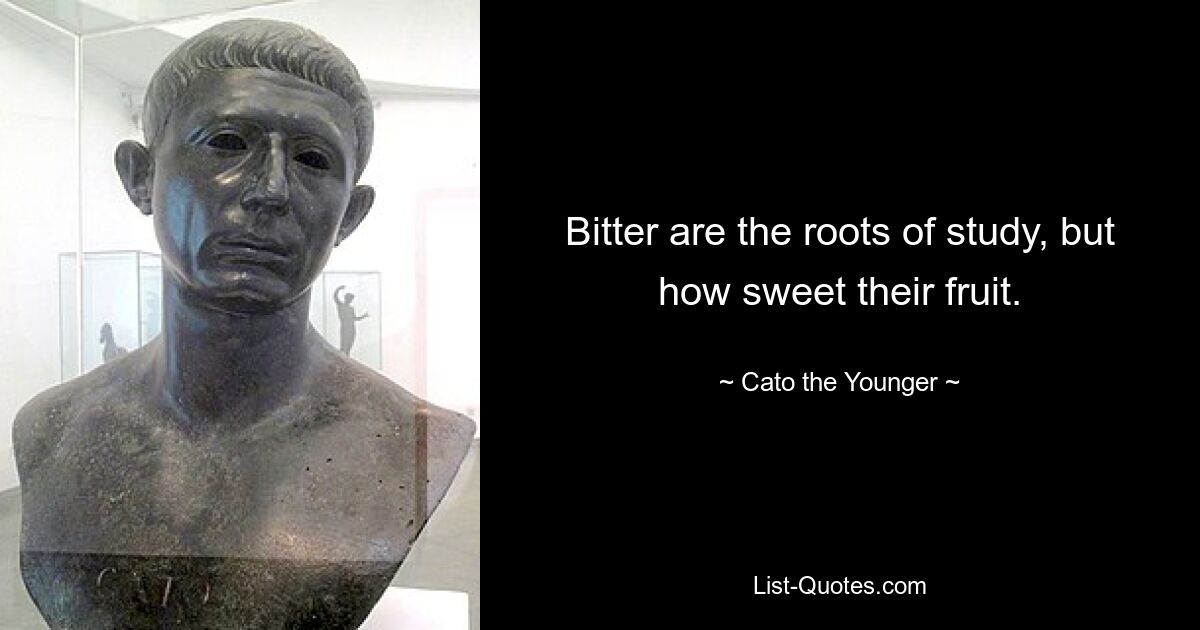 Bitter are the roots of study, but how sweet their fruit. — © Cato the Younger