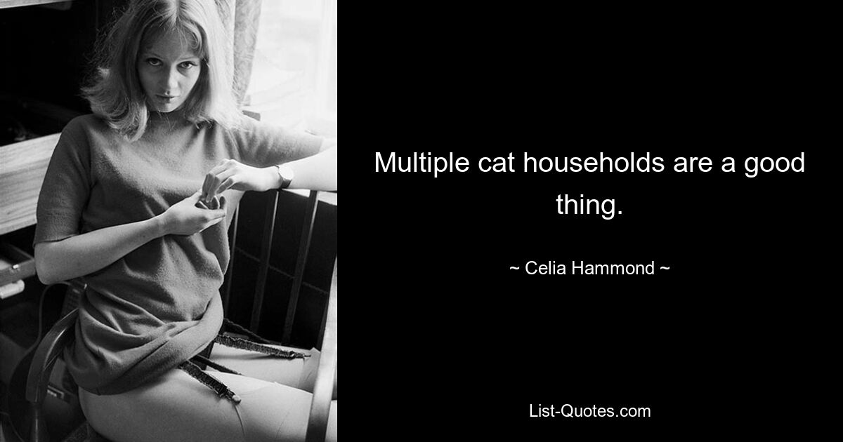 Multiple cat households are a good thing. — © Celia Hammond