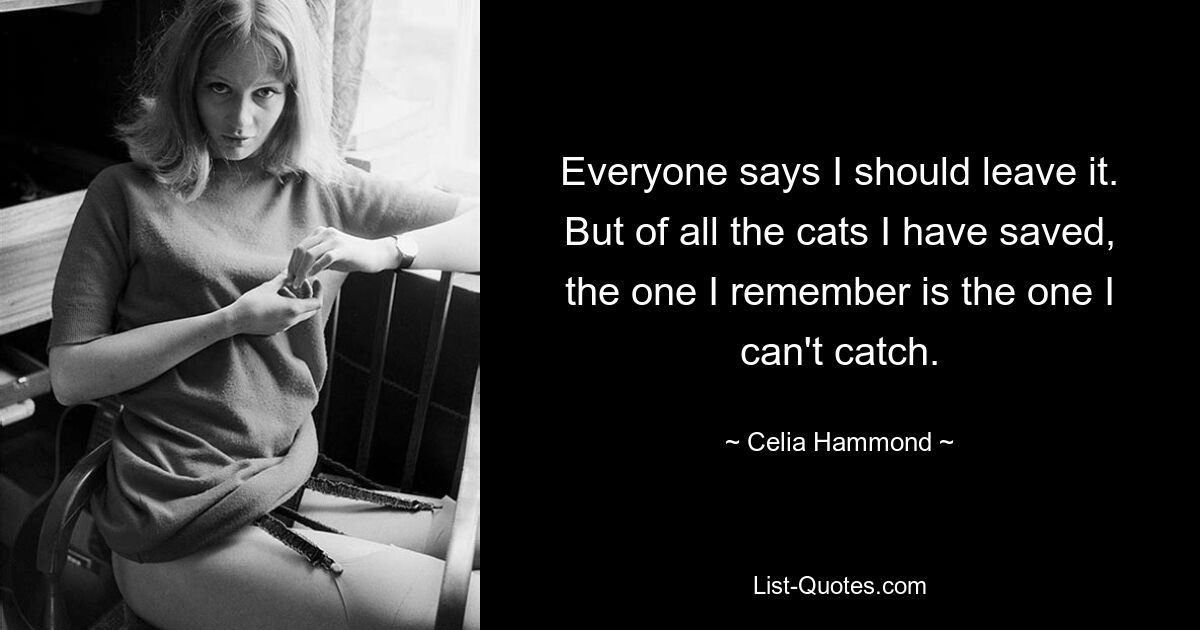 Everyone says I should leave it. But of all the cats I have saved, the one I remember is the one I can't catch. — © Celia Hammond