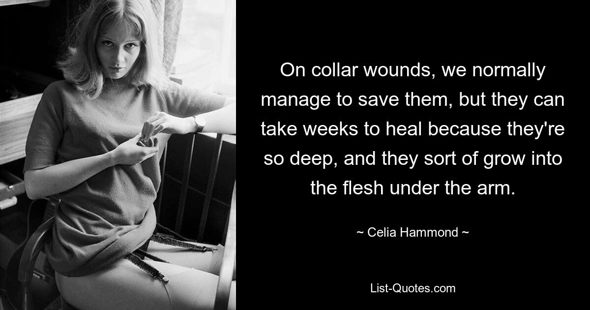 On collar wounds, we normally manage to save them, but they can take weeks to heal because they're so deep, and they sort of grow into the flesh under the arm. — © Celia Hammond