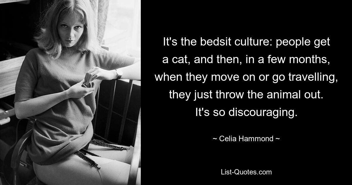 It's the bedsit culture: people get a cat, and then, in a few months, when they move on or go travelling, they just throw the animal out. It's so discouraging. — © Celia Hammond