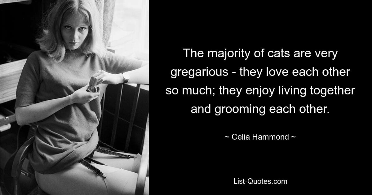 The majority of cats are very gregarious - they love each other so much; they enjoy living together and grooming each other. — © Celia Hammond