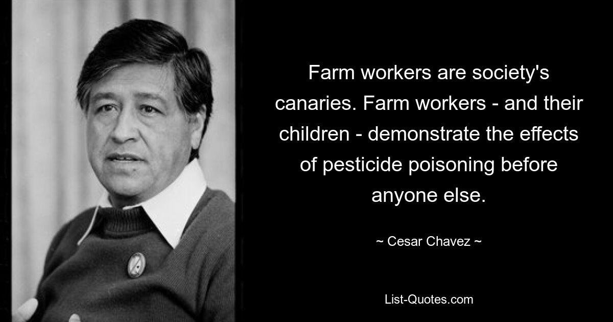 Landarbeiter sind die Kanarienvögel der Gesellschaft. Landarbeiter – und ihre Kinder – demonstrieren vor allen anderen die Auswirkungen einer Pestizidvergiftung. — © Cesar Chávez