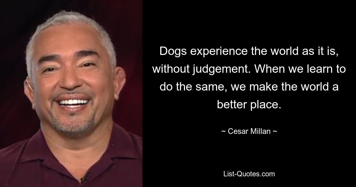 Dogs experience the world as it is, without judgement. When we learn to do the same, we make the world a better place. — © Cesar Millan