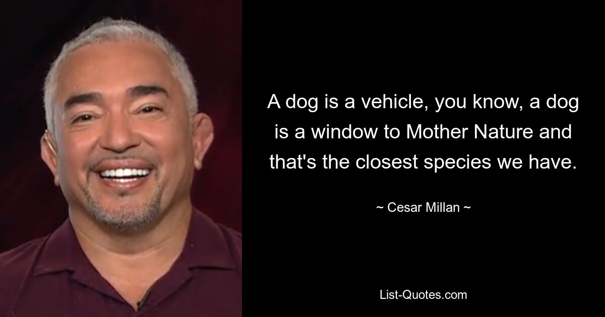 A dog is a vehicle, you know, a dog is a window to Mother Nature and that's the closest species we have. — © Cesar Millan