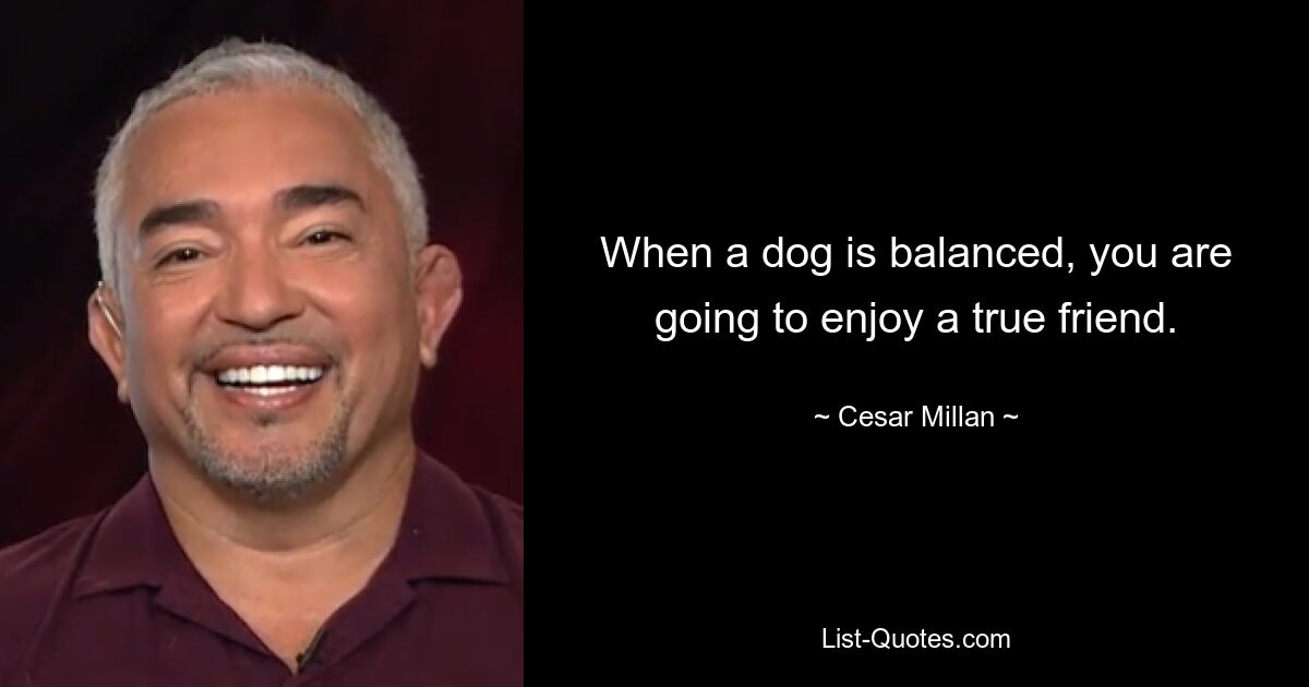 When a dog is balanced, you are going to enjoy a true friend. — © Cesar Millan