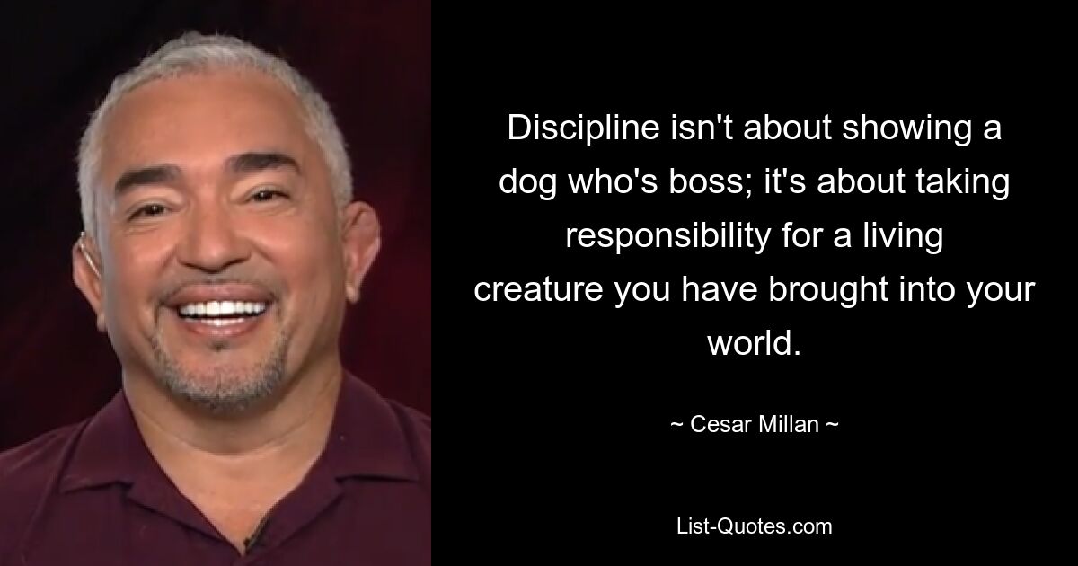 Discipline isn't about showing a dog who's boss; it's about taking responsibility for a living creature you have brought into your world. — © Cesar Millan