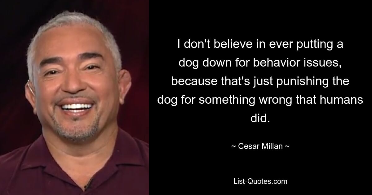 I don't believe in ever putting a dog down for behavior issues, because that's just punishing the dog for something wrong that humans did. — © Cesar Millan