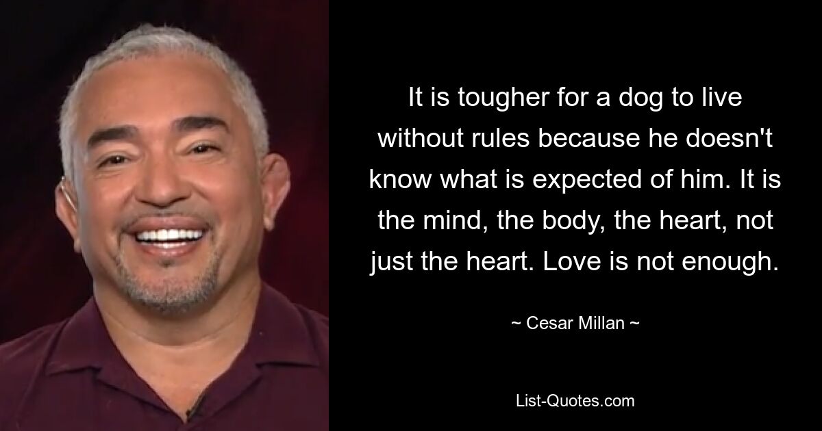 It is tougher for a dog to live without rules because he doesn't know what is expected of him. It is the mind, the body, the heart, not just the heart. Love is not enough. — © Cesar Millan