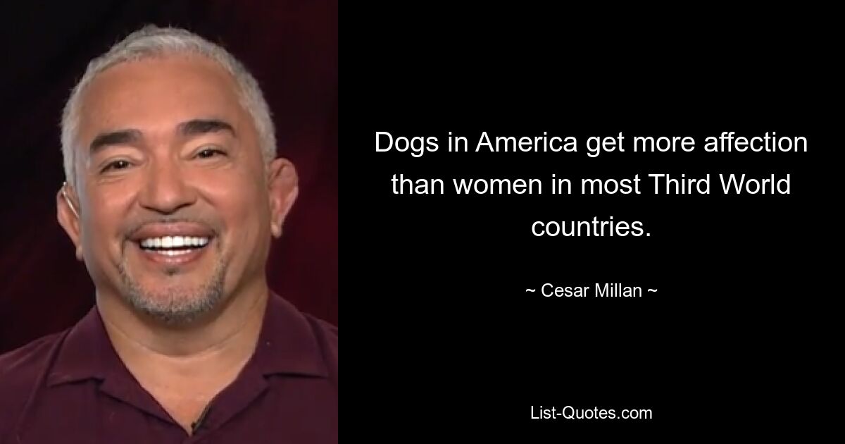 Dogs in America get more affection than women in most Third World countries. — © Cesar Millan