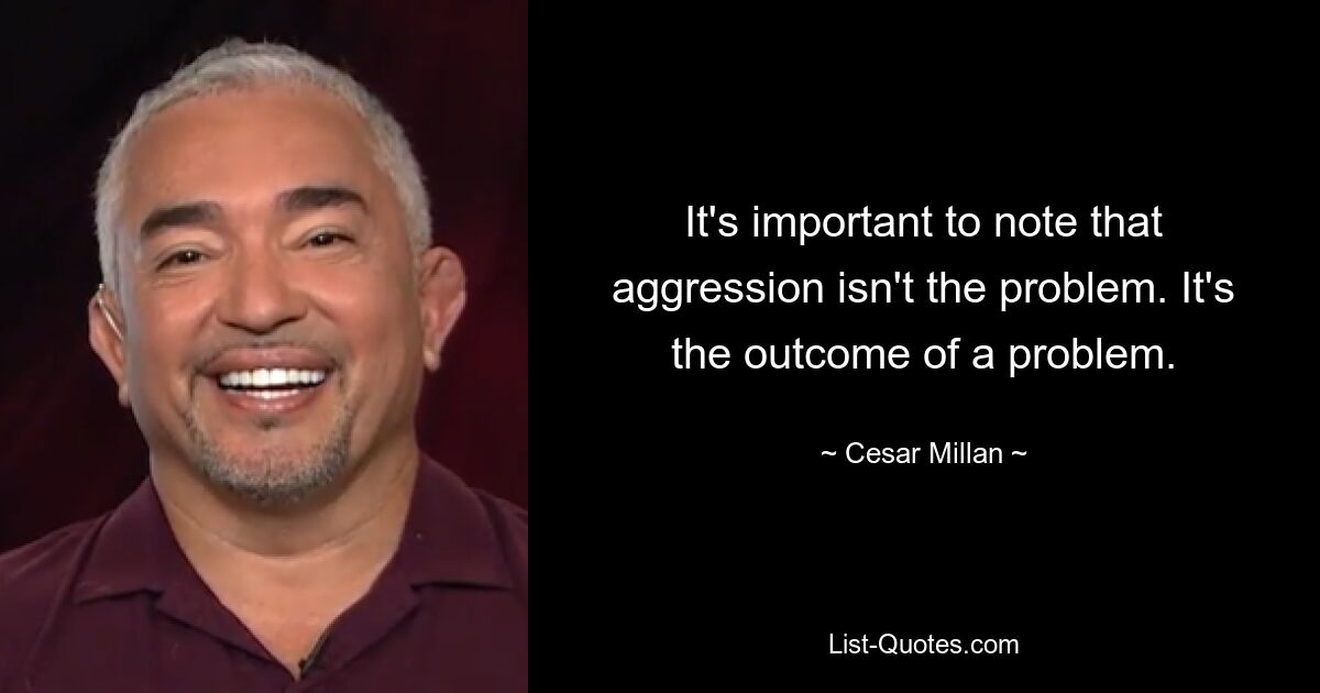 It's important to note that aggression isn't the problem. It's the outcome of a problem. — © Cesar Millan