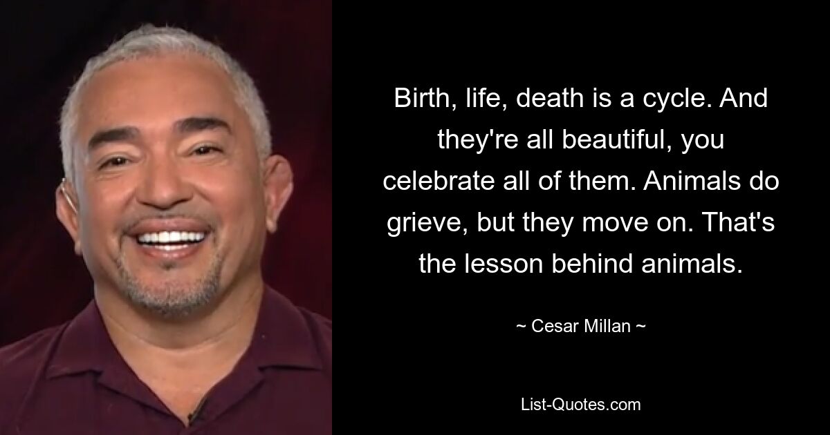 Birth, life, death is a cycle. And they're all beautiful, you celebrate all of them. Animals do grieve, but they move on. That's the lesson behind animals. — © Cesar Millan