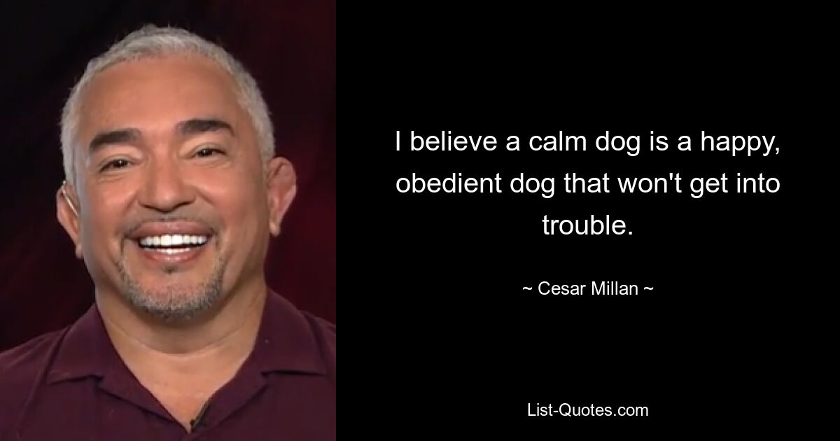 I believe a calm dog is a happy, obedient dog that won't get into trouble. — © Cesar Millan