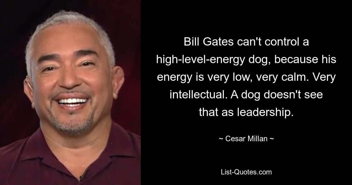 Bill Gates kann einen Hund mit hoher Energie nicht kontrollieren, weil seine Energie sehr niedrig und sehr ruhig ist. Sehr intellektuell. Ein Hund sieht das nicht als Führung an. — © Cesar Millan