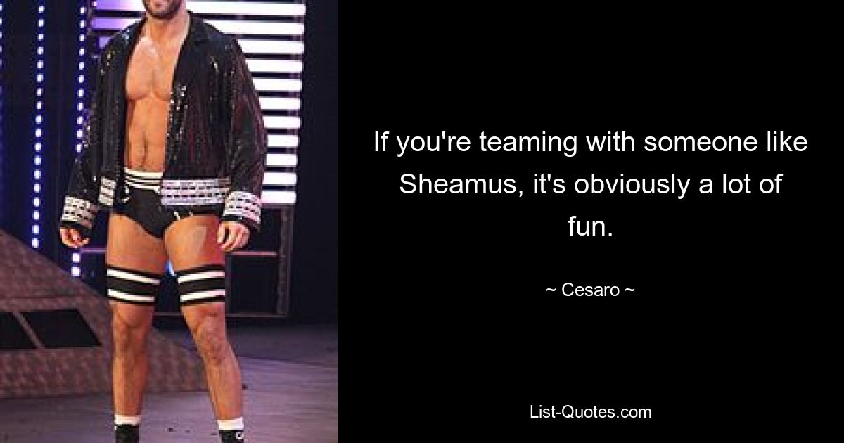 If you're teaming with someone like Sheamus, it's obviously a lot of fun. — © Cesaro