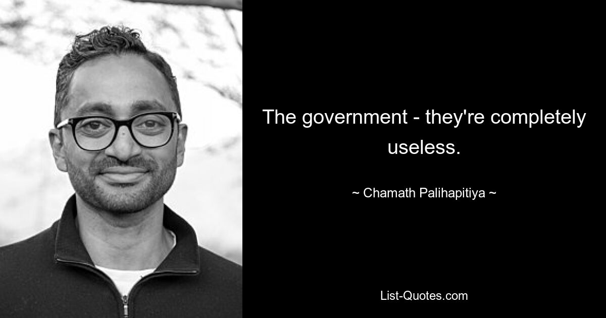 The government - they're completely useless. — © Chamath Palihapitiya