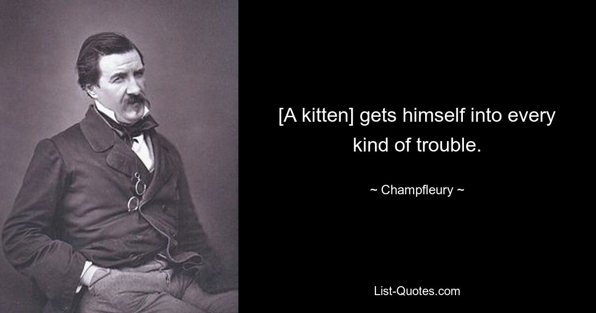 [A kitten] gets himself into every kind of trouble. — © Champfleury