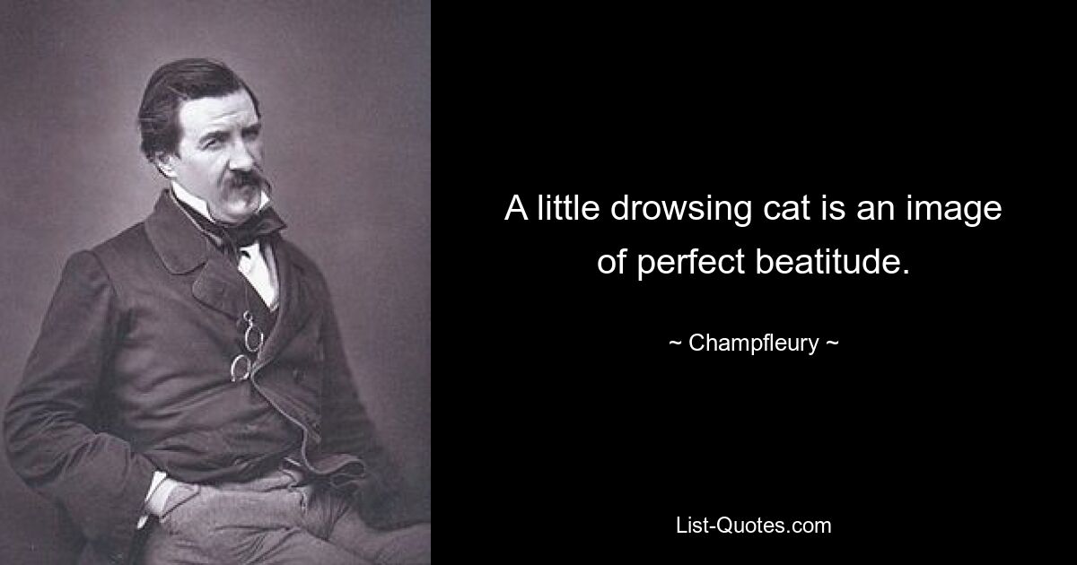 A little drowsing cat is an image of perfect beatitude. — © Champfleury