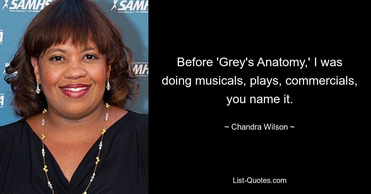 Before 'Grey's Anatomy,' I was doing musicals, plays, commercials, you name it. — © Chandra Wilson