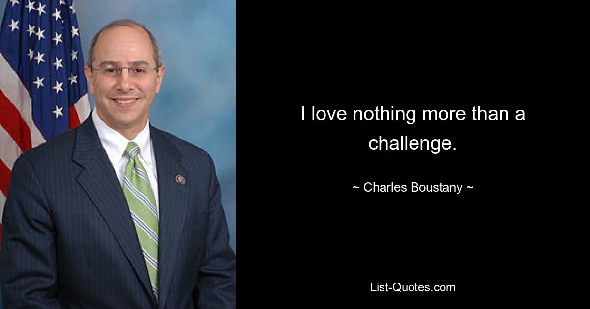 I love nothing more than a challenge. — © Charles Boustany