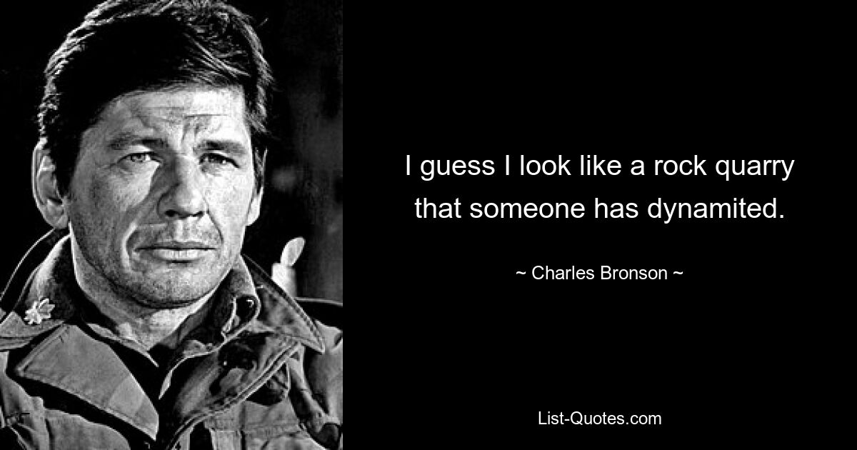 I guess I look like a rock quarry that someone has dynamited. — © Charles Bronson