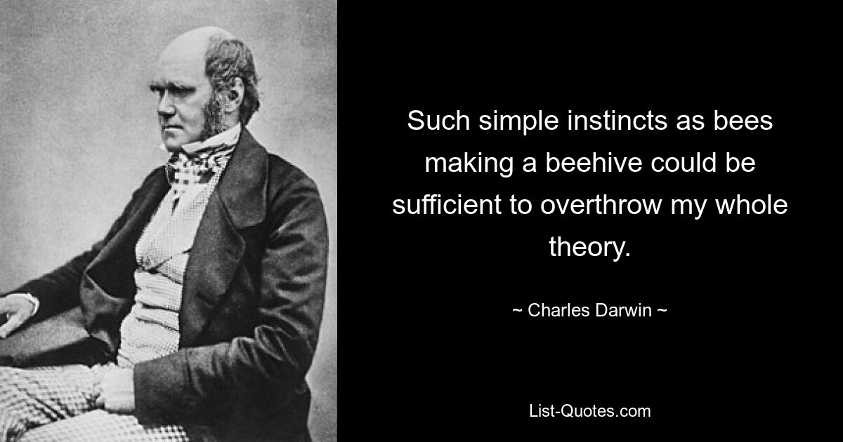 Such simple instincts as bees making a beehive could be sufficient to overthrow my whole theory. — © Charles Darwin