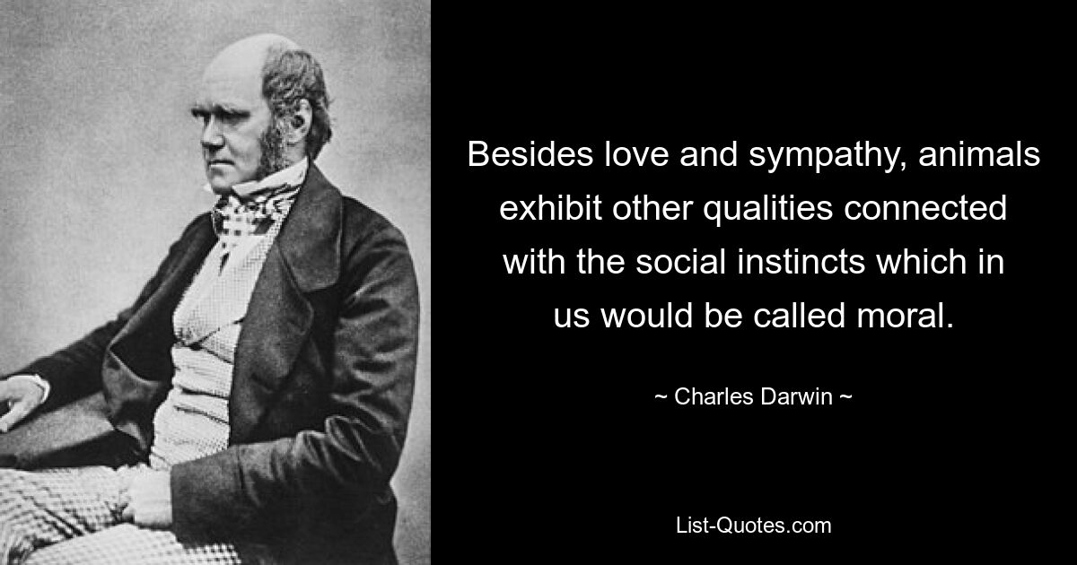 Besides love and sympathy, animals exhibit other qualities connected with the social instincts which in us would be called moral. — © Charles Darwin