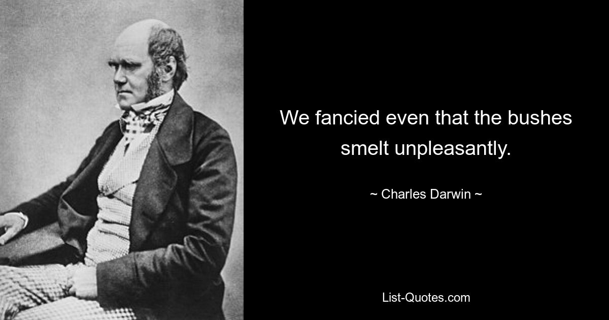 We fancied even that the bushes smelt unpleasantly. — © Charles Darwin