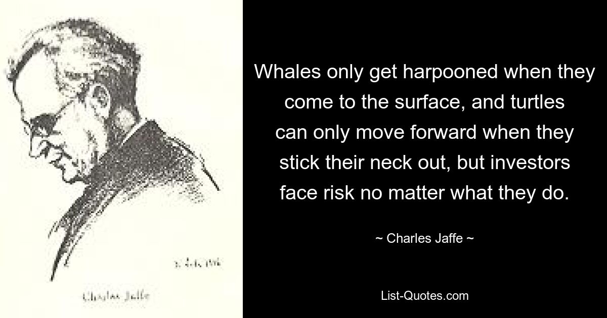 Whales only get harpooned when they come to the surface, and turtles can only move forward when they stick their neck out, but investors face risk no matter what they do. — © Charles Jaffe