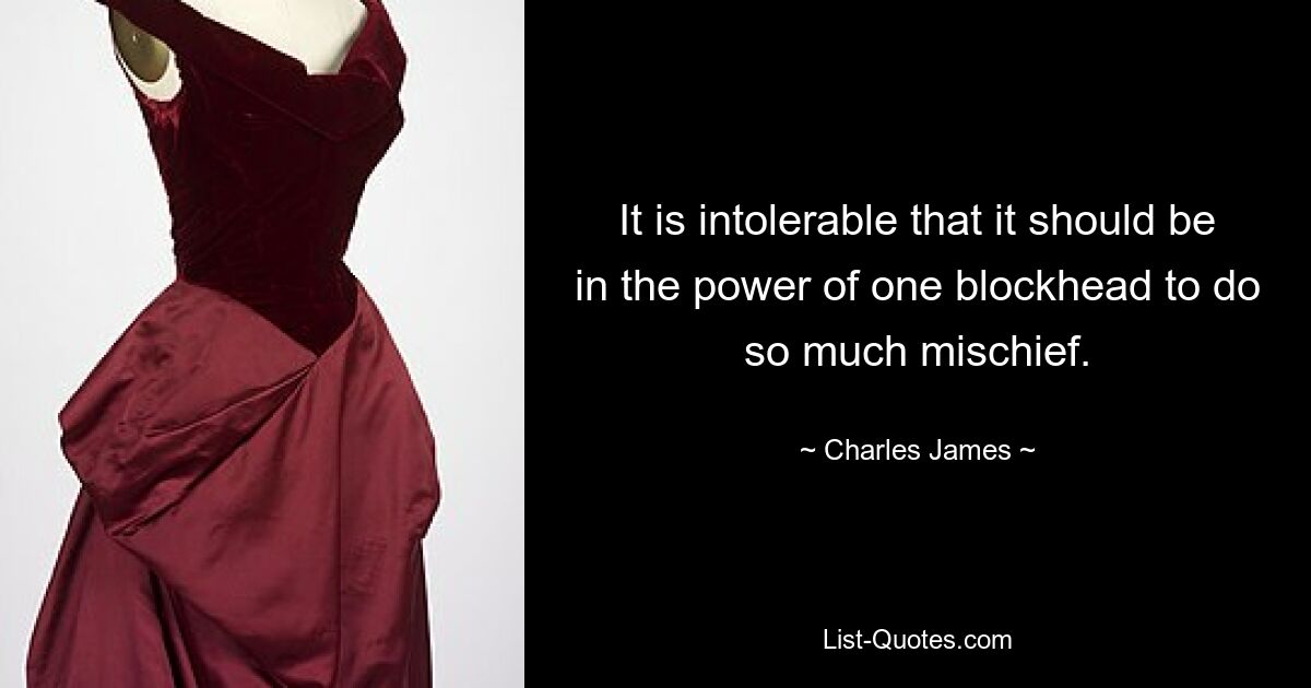 It is intolerable that it should be in the power of one blockhead to do so much mischief. — © Charles James