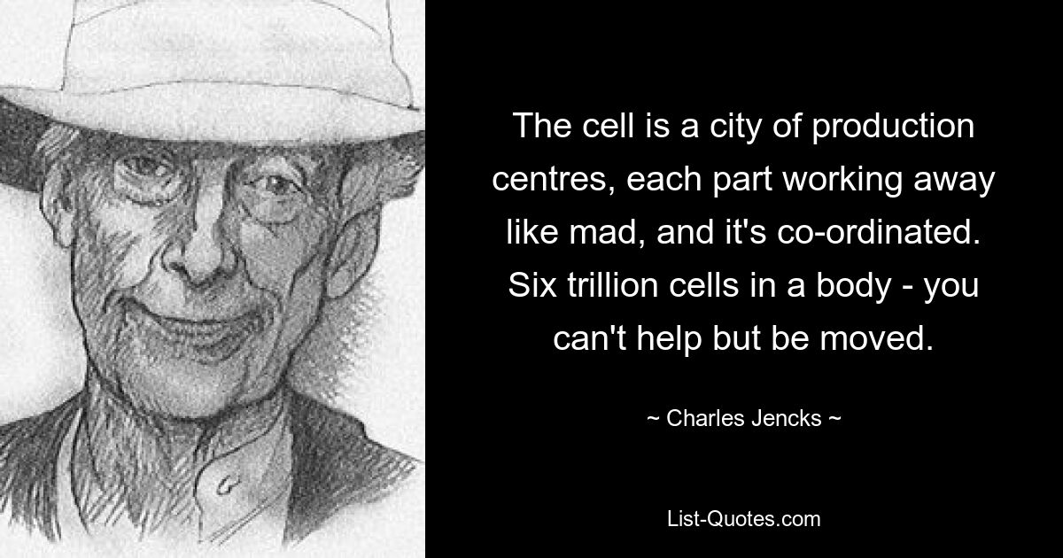 The cell is a city of production centres, each part working away like mad, and it's co-ordinated. Six trillion cells in a body - you can't help but be moved. — © Charles Jencks