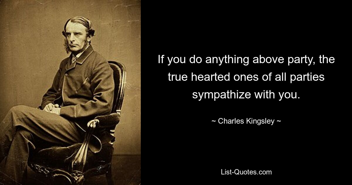 If you do anything above party, the true hearted ones of all parties sympathize with you. — © Charles Kingsley