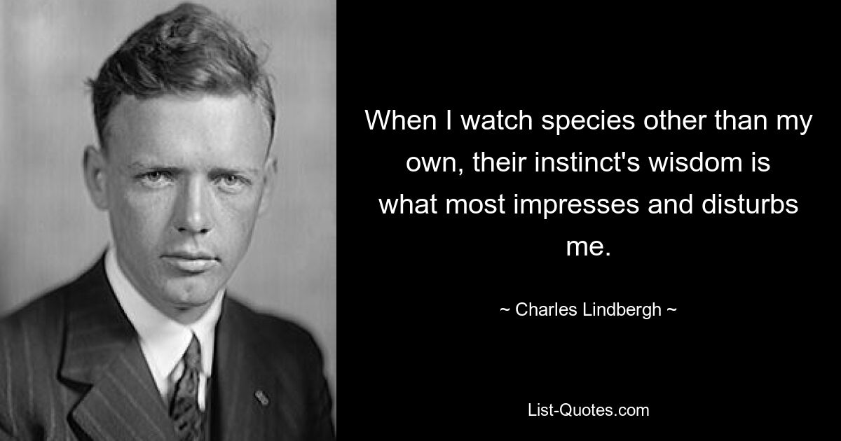 When I watch species other than my own, their instinct's wisdom is what most impresses and disturbs me. — © Charles Lindbergh