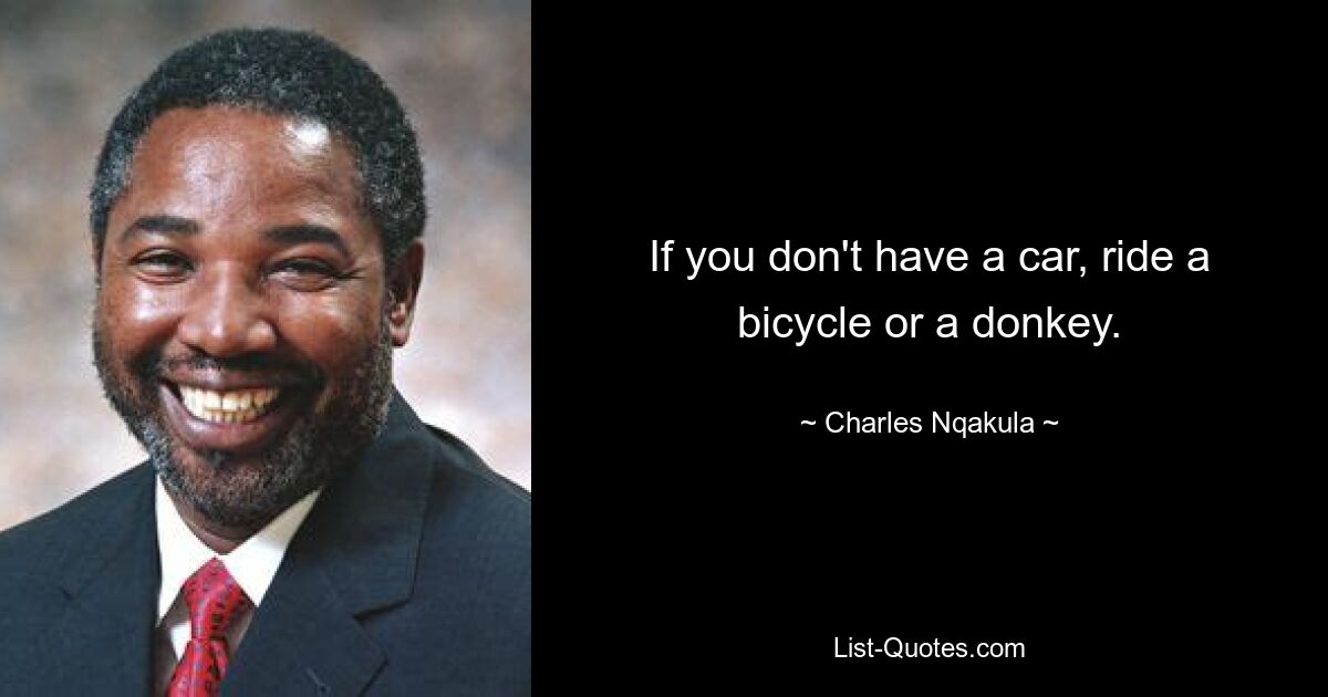 If you don't have a car, ride a bicycle or a donkey. — © Charles Nqakula