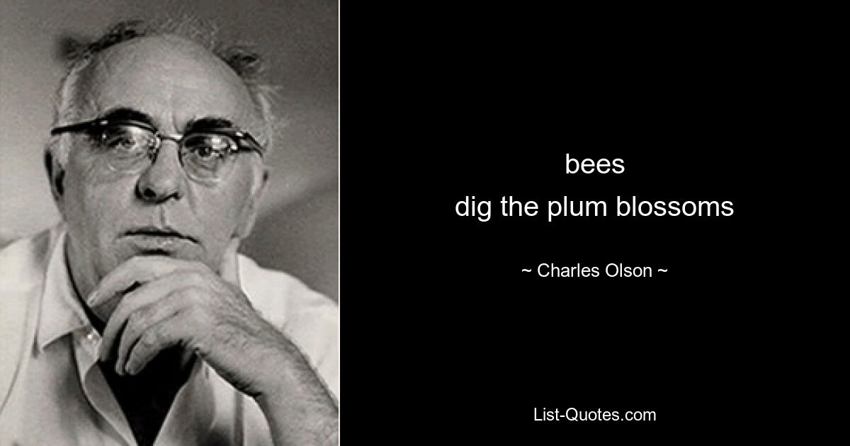 bees
dig the plum blossoms — © Charles Olson