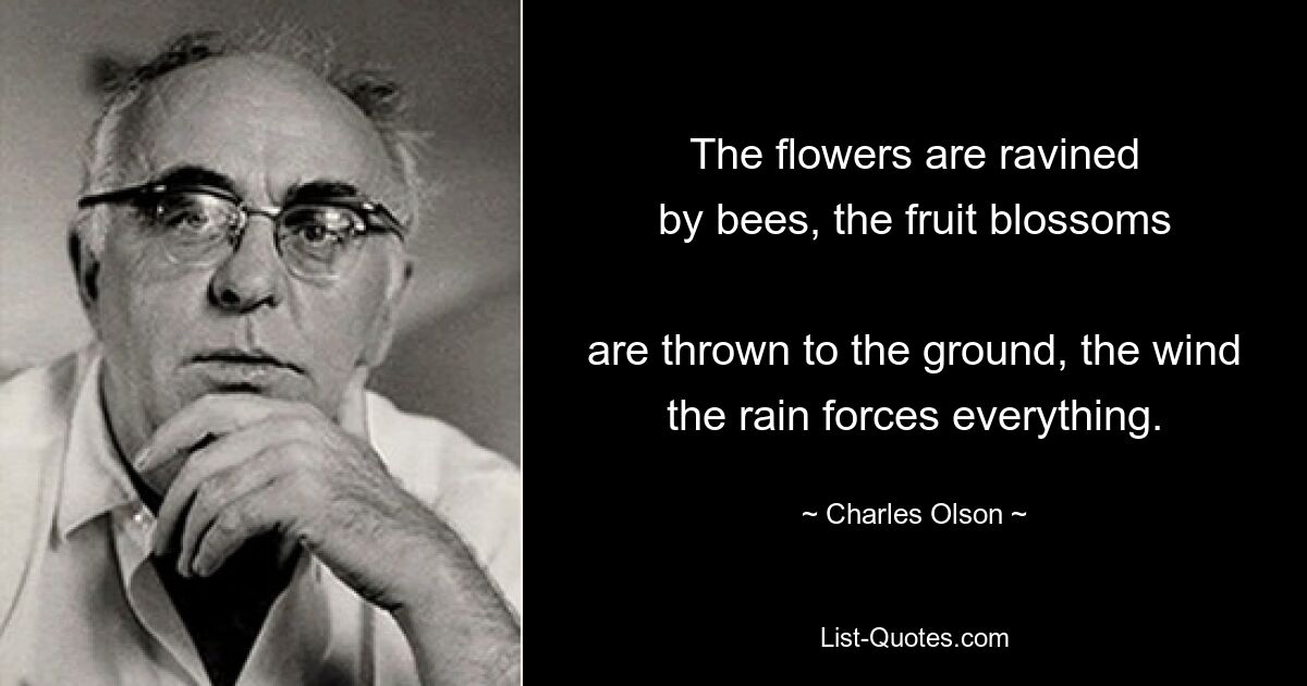 The flowers are ravined
by bees, the fruit blossoms

are thrown to the ground, the wind
the rain forces everything. — © Charles Olson