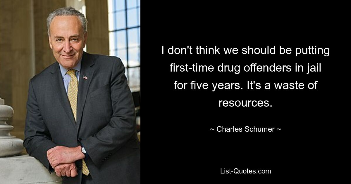 I don't think we should be putting first-time drug offenders in jail for five years. It's a waste of resources. — © Charles Schumer