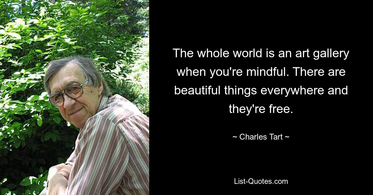 The whole world is an art gallery when you're mindful. There are beautiful things everywhere and they're free. — © Charles Tart