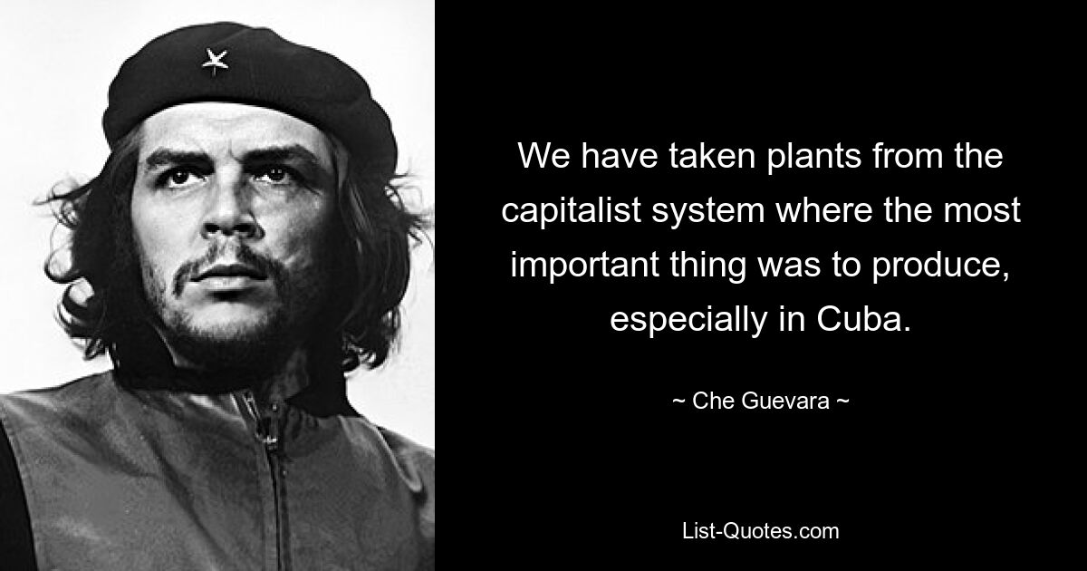 We have taken plants from the capitalist system where the most important thing was to produce, especially in Cuba. — © Che Guevara