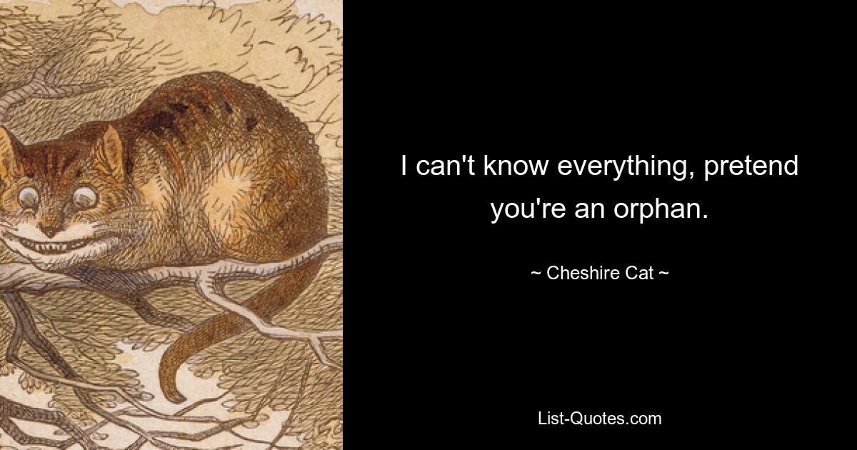 I can't know everything, pretend you're an orphan. — © Cheshire Cat