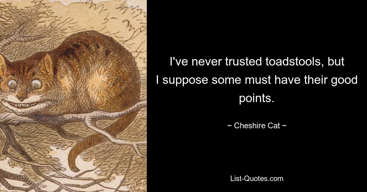 I've never trusted toadstools, but I suppose some must have their good points. — © Cheshire Cat