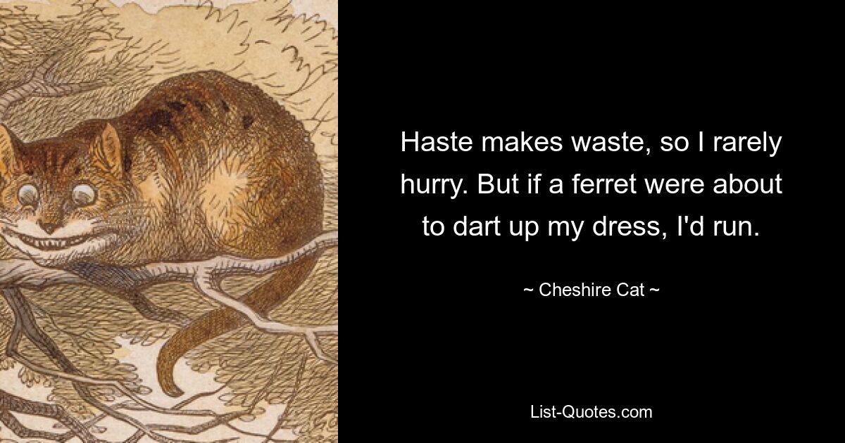 Haste makes waste, so I rarely hurry. But if a ferret were about to dart up my dress, I'd run. — © Cheshire Cat