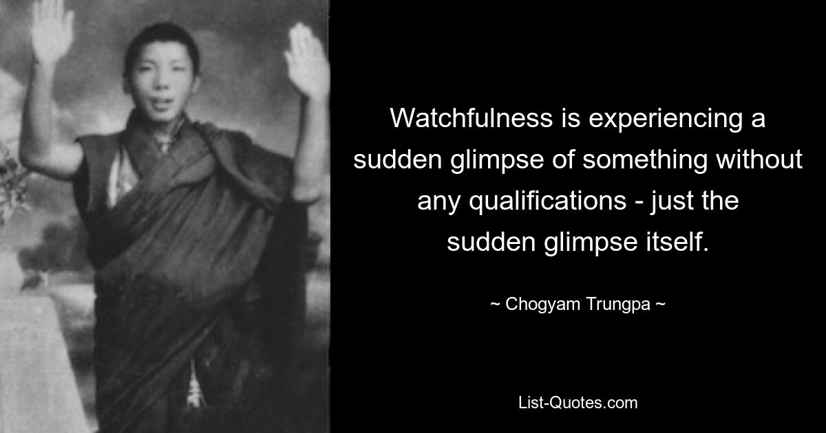 Watchfulness is experiencing a sudden glimpse of something without any qualifications - just the sudden glimpse itself. — © Chogyam Trungpa